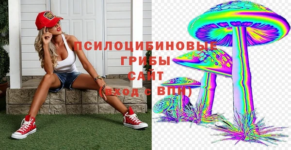 ГАЛЛЮЦИНОГЕННЫЕ ГРИБЫ Алексин