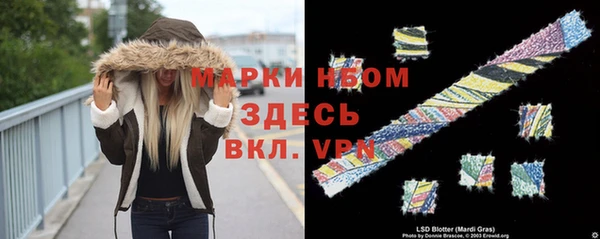 ГАЛЛЮЦИНОГЕННЫЕ ГРИБЫ Алексин